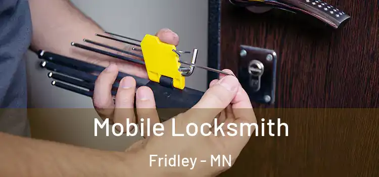 Mobile Locksmith Fridley - MN