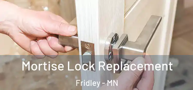 Mortise Lock Replacement Fridley - MN