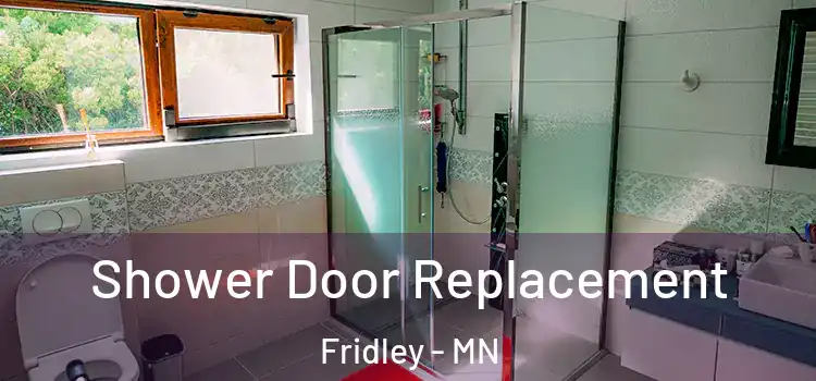 Shower Door Replacement Fridley - MN